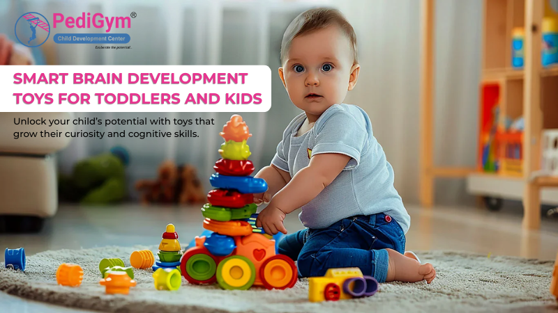 Brain Development Toys