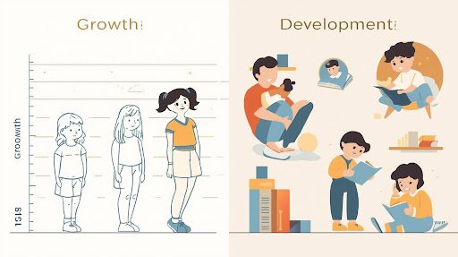 Growth vs Development in Children