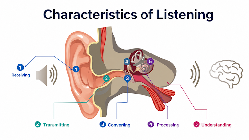 Characteristics of Listening