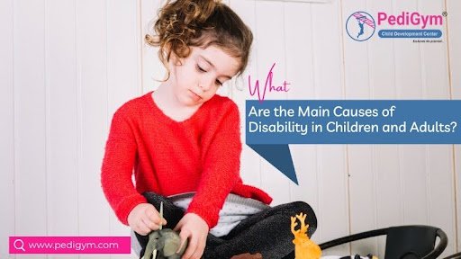 Main Causes of Disability in Children and Adults