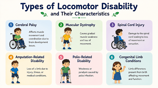 Types of Locomotor Disability