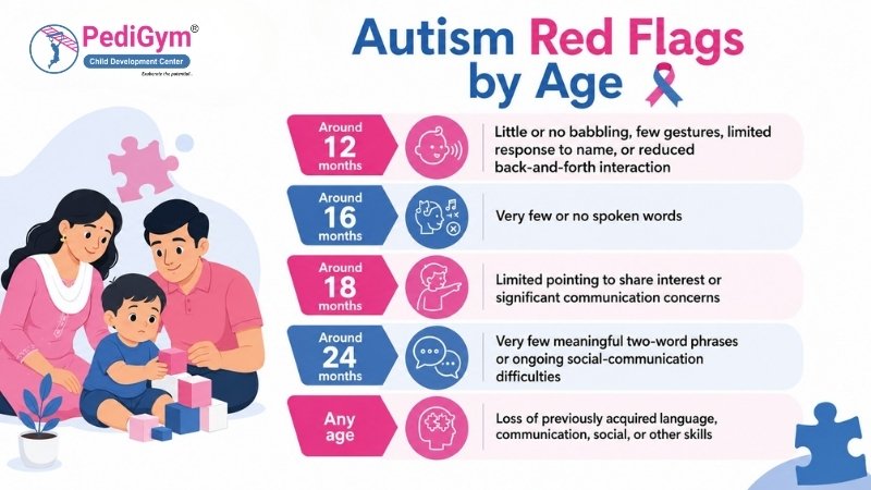 Autism red flags by age showing early developmental signs from 12 to 24 months
