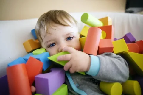 is autism a neurodevelopmental disorder